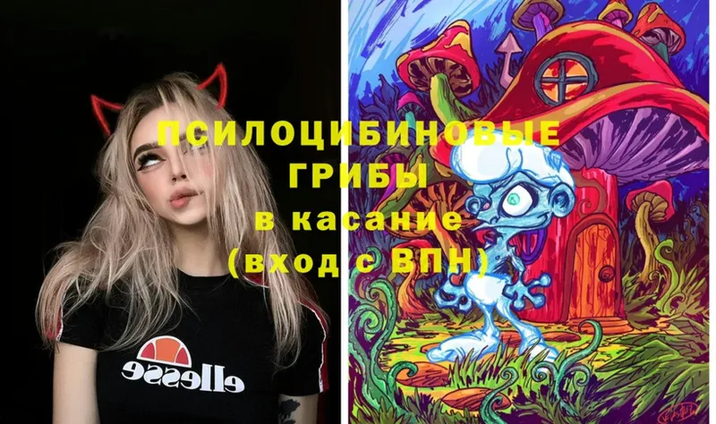 наркота  МЕГА как войти  Галлюциногенные грибы MAGIC MUSHROOMS  Ейск 